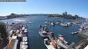 ./images/victoria/wharf/20250529/wharf20250529_154010M.jpg