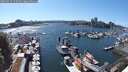 ./images/victoria/wharf/20250529/wharf20250529_155509M.jpg