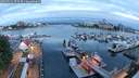 ./images/victoria/wharf/20250531/wharf20250531_050507M.jpg