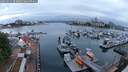 ./images/victoria/wharf/20250531/wharf20250531_052008M.jpg