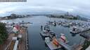 ./images/victoria/wharf/20250531/wharf20250531_052509M.jpg