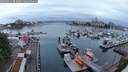 ./images/victoria/wharf/20250531/wharf20250531_053009M.jpg