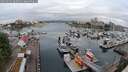 ./images/victoria/wharf/20250531/wharf20250531_062011M.jpg