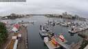 ./images/victoria/wharf/20250531/wharf20250531_071509M.jpg
