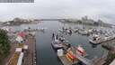 ./images/victoria/wharf/20250531/wharf20250531_072011M.jpg