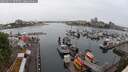 ./images/victoria/wharf/20250531/wharf20250531_075509M.jpg
