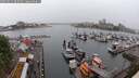 ./images/victoria/wharf/20250531/wharf20250531_082510M.jpg