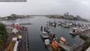 ./images/victoria/wharf/20250531/wharf20250531_083011M.jpg