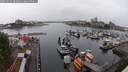 ./images/victoria/wharf/20250531/wharf20250531_084010M.jpg