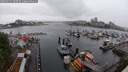 ./images/victoria/wharf/20250531/wharf20250531_090510M.jpg