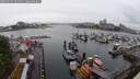 ./images/victoria/wharf/20250531/wharf20250531_091510M.jpg