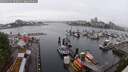 ./images/victoria/wharf/20250531/wharf20250531_092011M.jpg