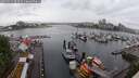 ./images/victoria/wharf/20250531/wharf20250531_093509M.jpg