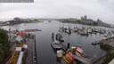 ./images/victoria/wharf/20250531/wharf20250531_094510M.jpg