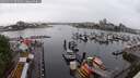 ./images/victoria/wharf/20250531/wharf20250531_095011M.jpg