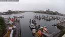 ./images/victoria/wharf/20250531/wharf20250531_100012M.jpg