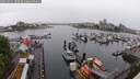 ./images/victoria/wharf/20250531/wharf20250531_100510M.jpg