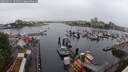 ./images/victoria/wharf/20250531/wharf20250531_101510M.jpg