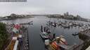 ./images/victoria/wharf/20250531/wharf20250531_102509M.jpg