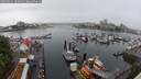./images/victoria/wharf/20250531/wharf20250531_103011M.jpg