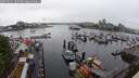 ./images/victoria/wharf/20250531/wharf20250531_103507M.jpg
