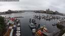 ./images/victoria/wharf/20250531/wharf20250531_104510M.jpg