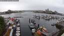 ./images/victoria/wharf/20250531/wharf20250531_105509M.jpg