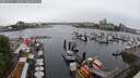 ./images/victoria/wharf/20250531/wharf20250531_110011M.jpg