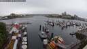 ./images/victoria/wharf/20250531/wharf20250531_110510M.jpg