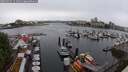 ./images/victoria/wharf/20250531/wharf20250531_111010M.jpg