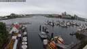 ./images/victoria/wharf/20250531/wharf20250531_112010M.jpg