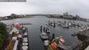 ./images/victoria/wharf/20250531/wharf20250531_113009M.jpg