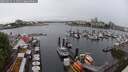 ./images/victoria/wharf/20250531/wharf20250531_114510M.jpg