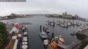./images/victoria/wharf/20250531/wharf20250531_115010M.jpg