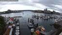 ./images/victoria/wharf/20250531/wharf20250531_123510M.jpg