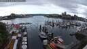 ./images/victoria/wharf/20250531/wharf20250531_124010M.jpg