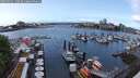 ./images/victoria/wharf/20250531/wharf20250531_130509M.jpg