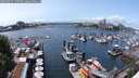 ./images/victoria/wharf/20250531/wharf20250531_135510M.jpg
