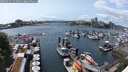 ./images/victoria/wharf/20250531/wharf20250531_144510M.jpg
