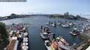 ./images/victoria/wharf/20250531/wharf20250531_151508M.jpg
