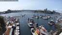 ./images/victoria/wharf/20250531/wharf20250531_152509M.jpg
