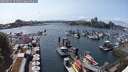 ./images/victoria/wharf/20250531/wharf20250531_154510M.jpg