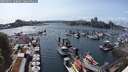 ./images/victoria/wharf/20250531/wharf20250531_160012M.jpg