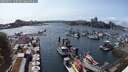 ./images/victoria/wharf/20250531/wharf20250531_160510M.jpg