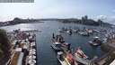 ./images/victoria/wharf/20250531/wharf20250531_161011M.jpg