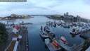 ./images/victoria/wharf/20250601/wharf20250601_052009M.jpg