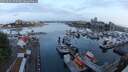 ./images/victoria/wharf/20250601/wharf20250601_052509M.jpg