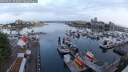 ./images/victoria/wharf/20250601/wharf20250601_053009M.jpg