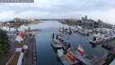 ./images/victoria/wharf/20250601/wharf20250601_053507M.jpg