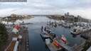 ./images/victoria/wharf/20250601/wharf20250601_054009M.jpg